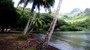 16 - Moorea - baie de Cook